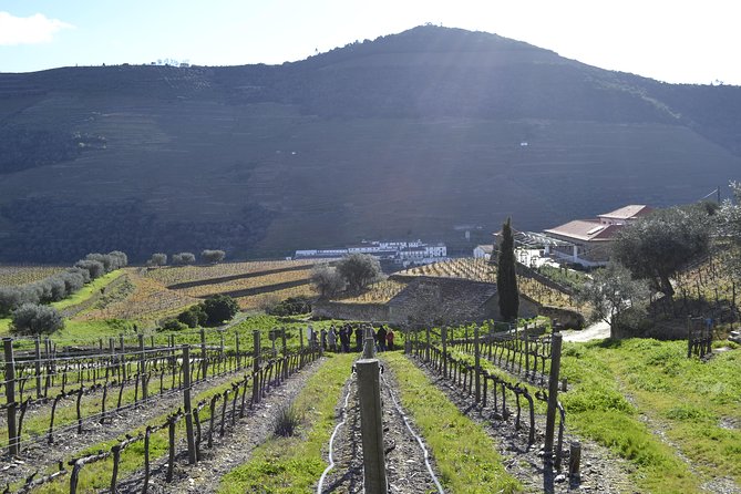 Private Douro 4x4 Adventure from Porto with Deluxe Pic nic - Price and Logistics: Is $393.20 Worth It?
