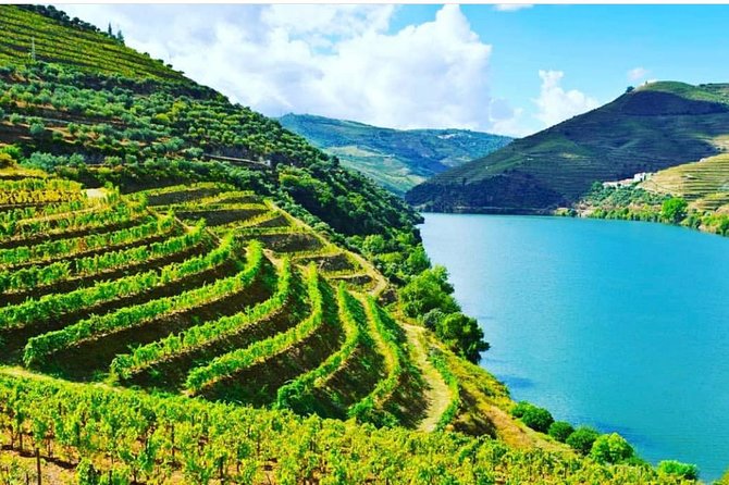 Private Douro Valley Food and Wine Tour From Porto - Why This Private Douro Tour Feels Like a Real Day
