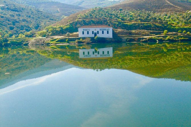 Private Douro Valley - Senses Experiences - Douro Valley Basics: Why This Day Works Better Than a Hop-On Trip
