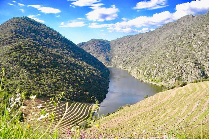 Private Douro Valley - Senses Experiences - Miradouro de São Leonardo de Galafura: Where the Valley Shows Its Real Character