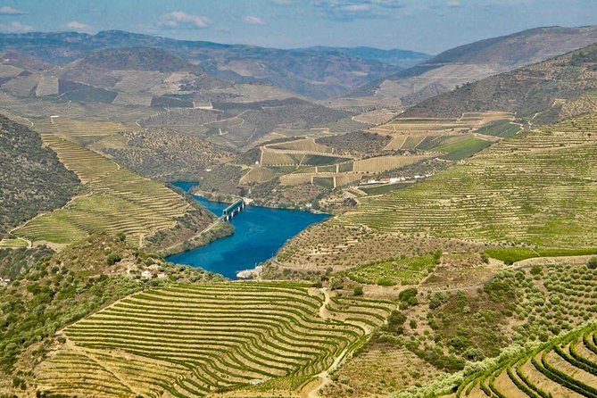 Private Douro Valley - Senses Experiences - Price and Value: What $380.85 Per Group Really Buys You