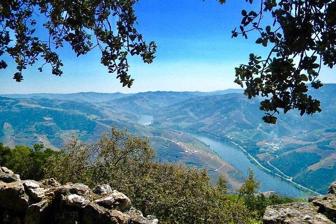 Private Douro Valley - Senses Experiences - Timing, Comfort, and Weather: How to Prepare for a 7–8 Hour Douro Day
