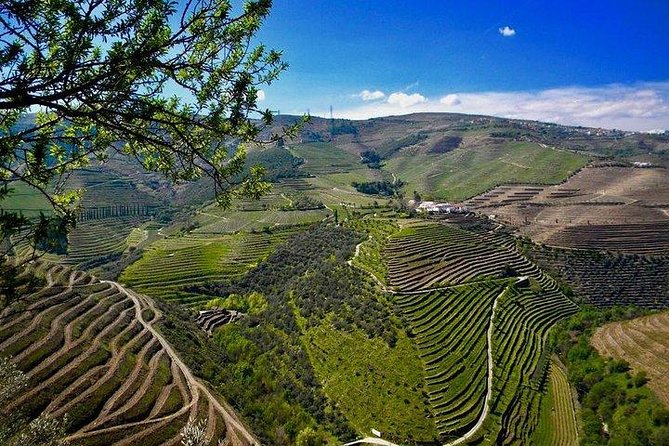 Private Douro Valley - Senses Experiences - Stop 1: Amarante Historic Center for a Quick Reset