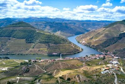 Private Douro Valley Tour: Boutique Winery & River Cruise - Quinta do Cume: a boutique winery tasting with real production context
