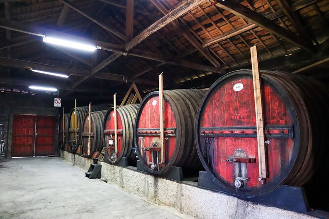 Private Douro Valley Tour: Boutique Winery & River Cruise - Wine and tastings: what’s included and how to make it enjoyable