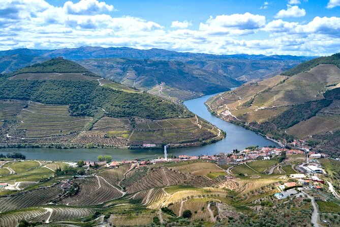 Private Douro Valley Tour: Boutique Winery & River Cruise - Quinta do Cume: a boutique winery tasting with real production context