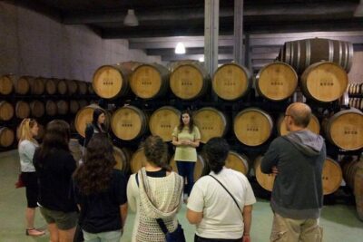 Private Douro Valley Wine Tour: 2 Wine Estates, Lunch and Cruise - The Sabrosa winery stop: tastings first, lunch later