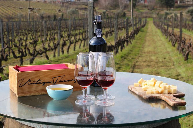Private Douro Valley Wine Tour: 2 Wine Estates, Lunch and Cruise - Pinhão Rebelo boat cruise: the Douro from the water