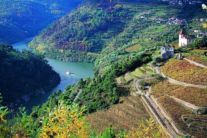 Private Douro Valley Wine Tour: 2 Wine Estates, Lunch and Cruise - Estrada Nacional 222: a scenic drive you actually remember