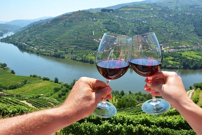 Private Douro Valley Wine Tour: 2 Wine Estates, Lunch and Cruise - The second winery: vineyard-to-bottle learning and a 3-wine tasting