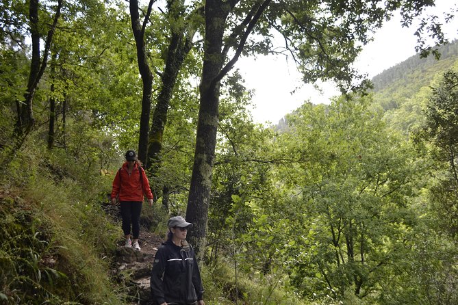 Private Geres National Park Tour with Lunch and Transfers - Lunch in Peneda-Gerês: picnic with views or a regional restaurant meal