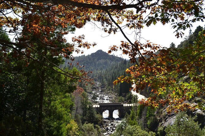 Private Geres National Park Tour with Lunch and Transfers - Wildlife spotting and how to enjoy it without turning your day into a scavenger hunt