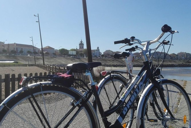 Rent bikes in Póvoa de Varzim and Vila do Conde - The Seafront Plan: Camino Vibes Without the Train-Track Hurry