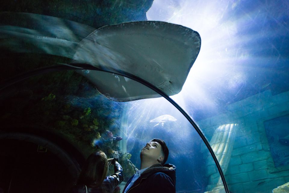 SEA LIFE Porto Full-Day Entrance Ticket - Key Things That Make SEA LIFE Porto Worth Your Time