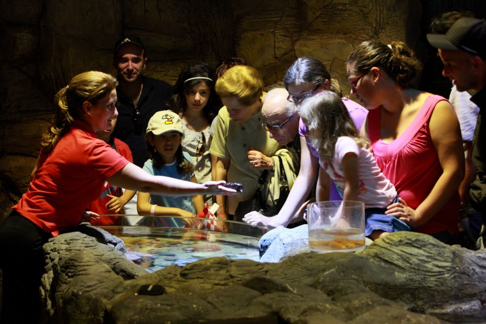 SEA LIFE Porto Full-Day Entrance Ticket - Location and Getting Oriented: Castelo do Queijo Area