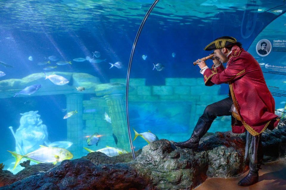 SEA LIFE Porto Full-Day Entrance Ticket - The Main Exhibits: Where You’ll Spend Your Viewing Time