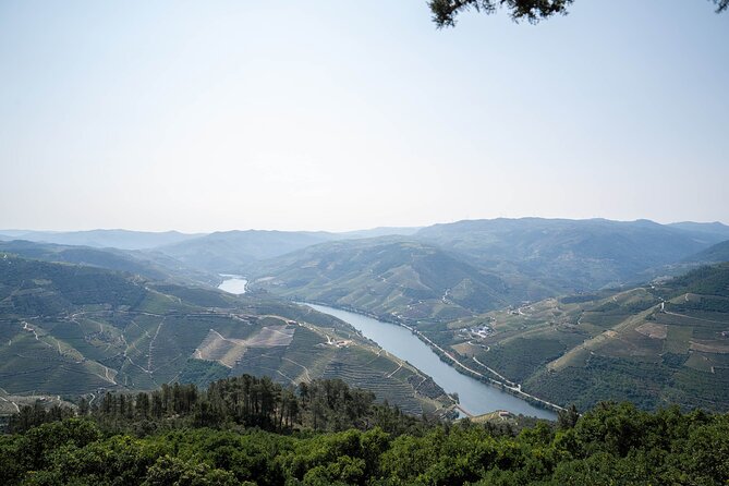 Small Group Douro Valley Wine Tour with Lunch and Cruise - Pinhão to the River: 45–50 Minutes of Douro Views