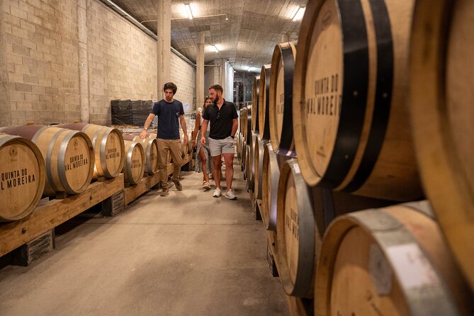Small Group Douro Valley Wine Tour with Lunch and Cruise - Porto Add-On: Walking Tour the Next Day