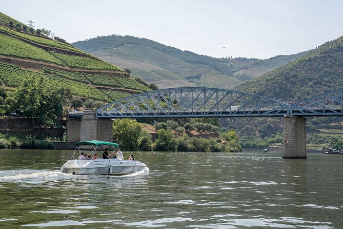 Small Group Douro Valley Wine Tour with Lunch and Cruise - Amarante Stop: The Small Town Break You Actually Appreciate