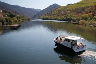 VALE DOURO, Premium Wine Tour, Wine Lunch, Private Boat - Lunch at a Farm Winery: Pairing food and Porto culture