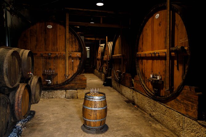 VALE DOURO, Premium Wine Tour, Wine Lunch, Private Boat - Price and Logistics: What $163.33 buys you
