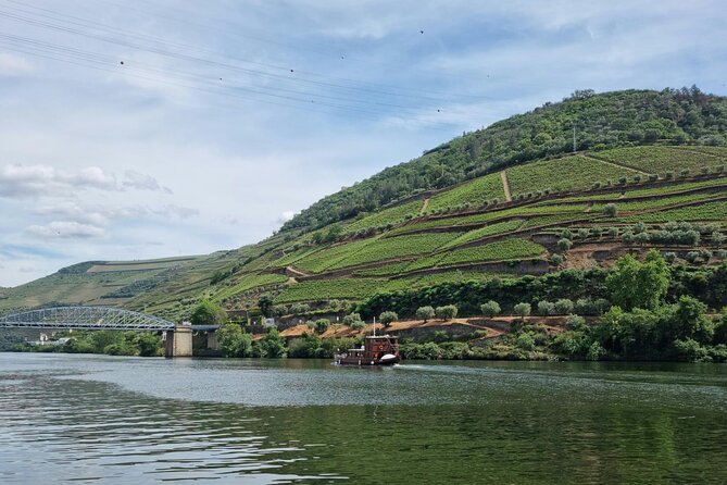 VALE DOURO, Premium Wine Tour, Wine Lunch, Private Boat - Weather and timing: The two things that can affect your day