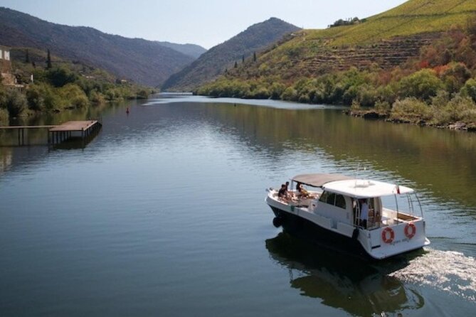 VALE DOURO, Premium Wine Tour, Wine Lunch, Private Boat - Lunch at a Farm Winery: Pairing food and Porto culture