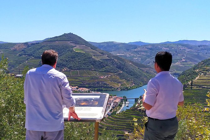Wine Venture and Boat Trip in Douro Valley from Porto - What You’re Really Getting With Two Wineries and One Boat