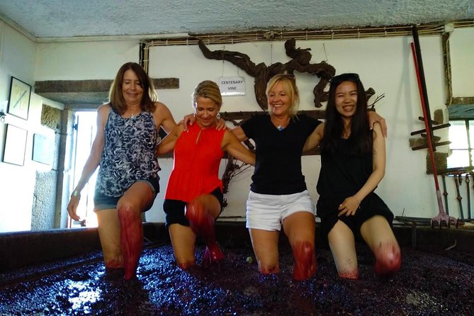 Wine Venture and Boat Trip in Douro Valley from Porto - Drive Time and Day Pacing: Long, But Not Chaotic